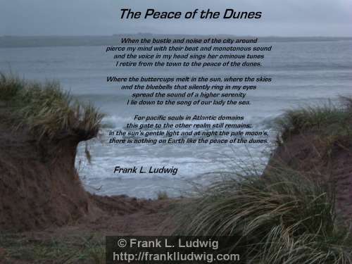 1 - The Peace of the Dunes